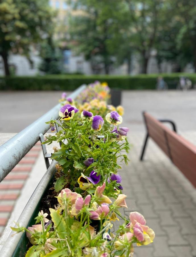 Exclusive Chmielna Street 95m2 Warszawa