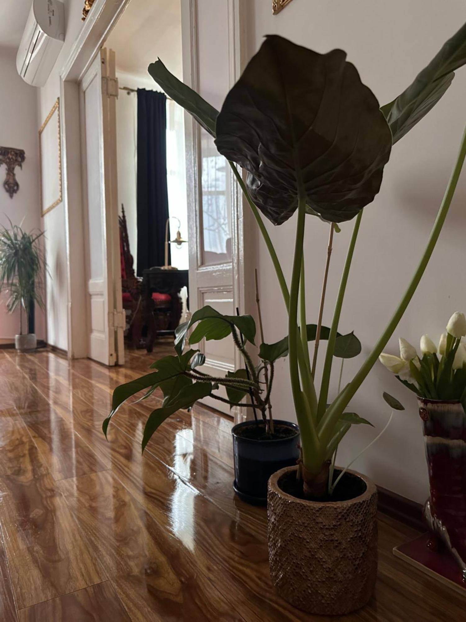 Leilighet Exclusive Chmielna Street 95m2